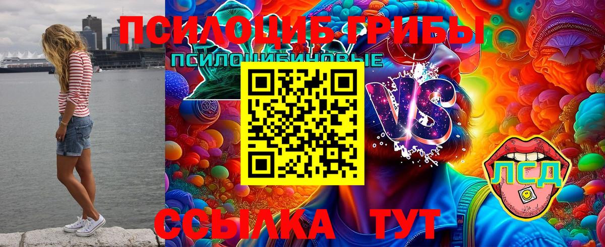 Галлюциногенные грибы ЛСД Ялта