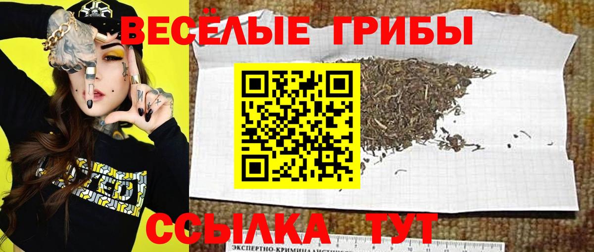 Ялта  Галлюциногенные грибы Magic Shrooms  Вход с VPN 